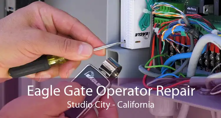 Eagle Gate Operator Repair Studio City - California