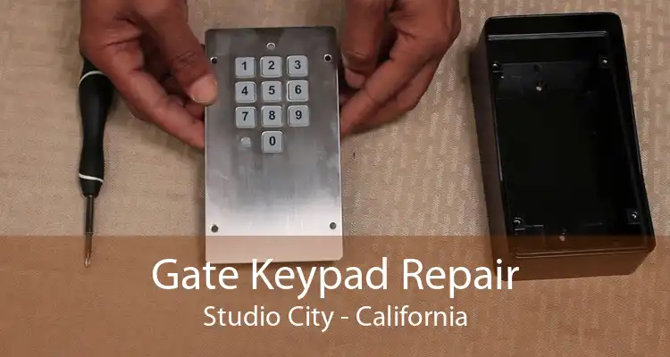 Gate Keypad Repair Studio City - California