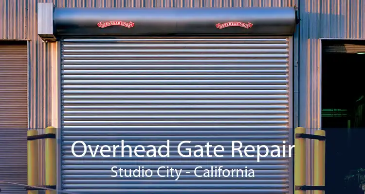 Overhead Gate Repair Studio City - California