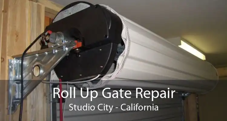 Roll Up Gate Repair Studio City - California